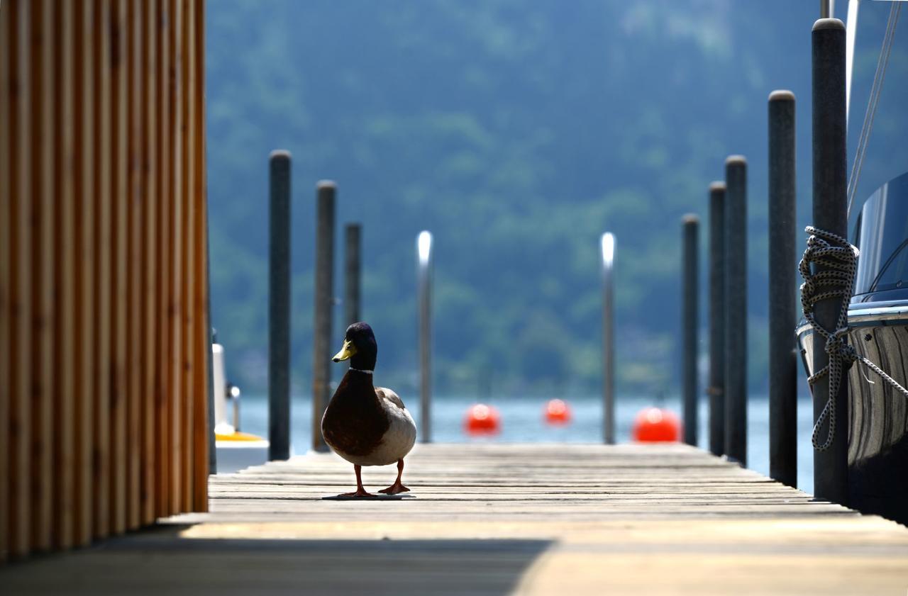 Die Wunder S Ferienpension Pörtschach am Wörthersee Zewnętrze zdjęcie